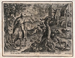 view Hunting: wolves are attracted by a ram's carcass, are trapped in snares, and fall into a pit hidden by leaves. Engraving by Philipp Galle after Stradanus.