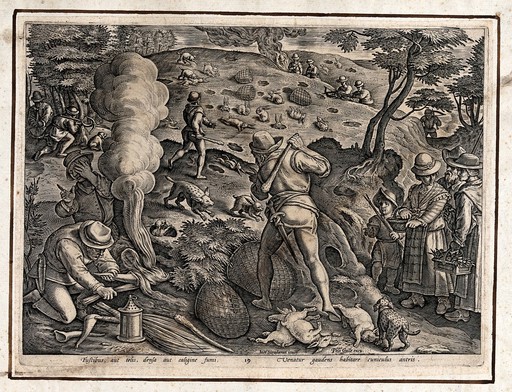 Hunting: hunters smoking rabbits out of their burrows, beating the ground with clubs, and closing ranks to catch rabbits. Engraving by Philipps Galle after J. Stradanus.