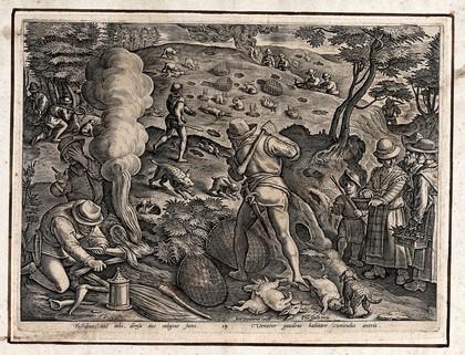 Hunting: hunters smoking rabbits out of their burrows, beating the ground with clubs, and closing ranks to catch rabbits. Engraving attributed to A. Wierix II after J. Stradanus.