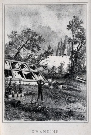 view A man is standing in front of a glass-house destroyed by hail. Lithograph after G. Gorra, 18--.