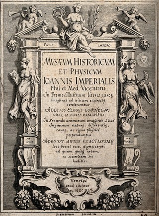 A frame decorated with allegorical figures, swags and scrollwork; representing the Musaeum historicum et physicum of Giovanni Imperiale. Engraving, 1640.