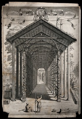 Two men in the garden of Cardinal Carlo Pio di Savoia admiring a pergola on which citron fruits are growing. Engraving by C. Cungi after F. Gagliardi, 16--.