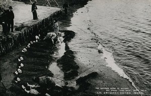 view Beppu, Japan: men, women and children lying under the sand of the hot sping. Photographic postcard, ca. 1930.