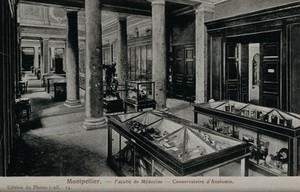 view Montpellier, France: the conservatory of anatomy, medical school. Photographic postcard, ca. 1940.