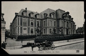 view Institut Pasteur, Rue Dutot, Paris. Photographic postcard, ca. 1910.