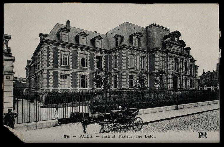 Institut Pasteur, Rue Dutot, Paris. Photographic Postcard, Ca. 1910 