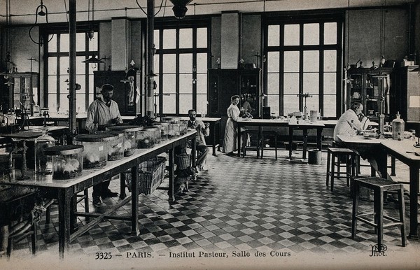 Institut Pasteur, Paris: seminar room. Photographic postcard, ca. 1910.