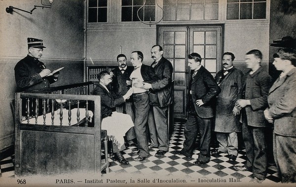 Institut Pasteur, Paris: inoculation hall. Photographic postcard, ca. 1910.