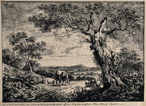 view A path, with two cows on the left of it and a blasted tree on the right. Lithograph by G. Walker, 1807.