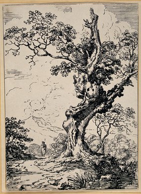 A tree; a man in the background. Lithograph by G. Samuel, 1808.