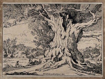 An ancient oak tree. Lithograph by W. Delamotte, 1802.