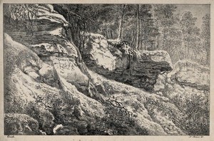 view A rocky outcrop with trees above. Lithograph by N. Strixner after J.F. Ermels, 1811.