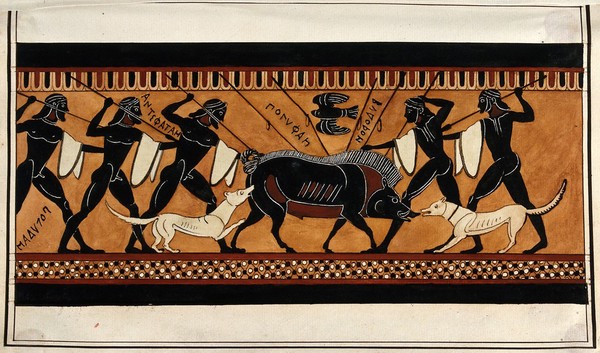 Detail of a frieze decorating a Greek black-figured column krater representing a group of naked men with spears and dogs hunting a wild boar; principal scene of the "Hunt krater", made in Corinth ca. 570 B.C.. Watercolour by A. Dahlsteen, 176- (?).