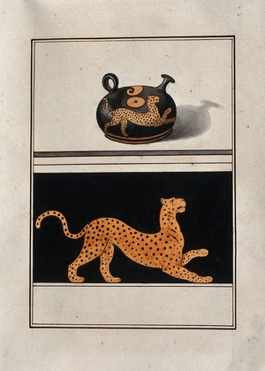 view Above, red-figured Greek pouring vessel with a round body and a short spout; below, detail of decoration showing a stylised leopard. Watercolour by A. Dahlsteen, 176- (?).