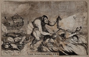 view G.W. Wardle, an ape-like figure scavenging with a rake and a lantern, followed by pigs and ducks, stumbles across a decapitated corpse. Aquatint, 1811.