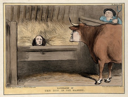 A large bull with the head of Sir Robert Peel gazes angrily at a dog with the head of Lord Melbourne in a manger, regarded by John Bull holding a pitch fork. Coloured lithograph by H.B. (John Doyle), 1841.