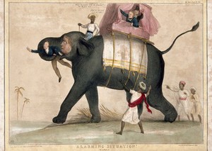 view An elephant running wild with Lord Auckland in its trunk. Coloured lithograph by H.B. (John Doyle), 1843.