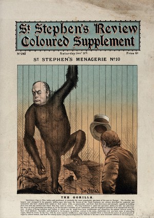 view Charles Bradlaugh as a gorilla in a zoo. Colour lithograph by Tom Merry, 3 December 1887.