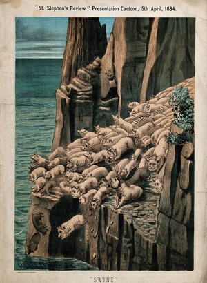 view Gadarene swine throwing themselves off a cliff into water, representing the British Liberal Party. Colour lithograph by Tom Merry, 5 April 1884.