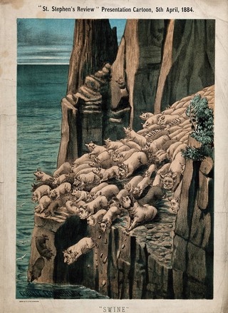 Gadarene swine throwing themselves off a cliff into water, representing the British Liberal Party. Colour lithograph by Tom Merry, 5 April 1884.