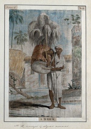 view Musician with a d'hauk, a large drum carried over the shoulder and decorated with feathers, played at marriages and religious occasions, Calcutta, West Bengal. Coloured etching by François Balthazar Solvyns, 1799.