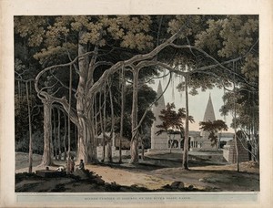 view Banyan tree with Hindu temples at Agori, Bihar. Coloured aquatint by Thomas Daniell, 1796.