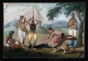 view A goat about to be beheaded as a Hindu ritual in honour of the goddess Kālī. Gouache painting by an Indian artist.