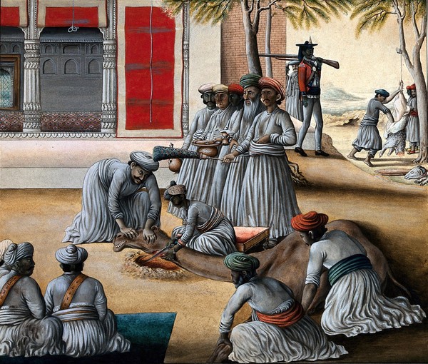 Indian men slaughtering a camel; a sheep being skinned in the background. Watercolour.