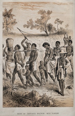 view African men, women and children captured in order to become slaves. Lithograph, ca. 1874.