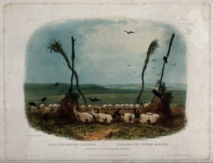 view Human and animal skulls placed on the ground as offerings by the Mandan Indians. Coloured aquatint by S. Himely after Ch. Bodmer, 1839.