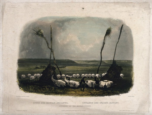 Human and animal skulls placed on the ground as offerings by the Mandan Indians of North America. Coloured aquatint by S. Himely after Ch. Bodmer, ca. 1843.