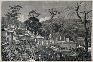 view A cemetery in Nagasaki, Japan. Wood engraving, ca. 1860.