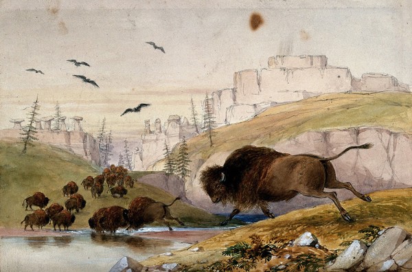 Bison crossing a river; stone monuments in the background. Watercolour.