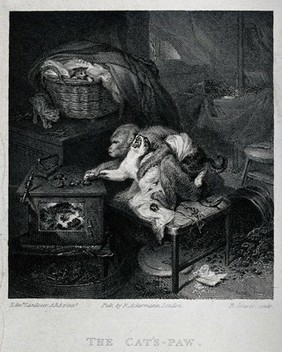 A monkey forcing a cat to retrieve hot chestnuts, so burning its paws on the stove; two kittens in the background. Engraving by R. Graves after E. Landseer, ca. 1850.