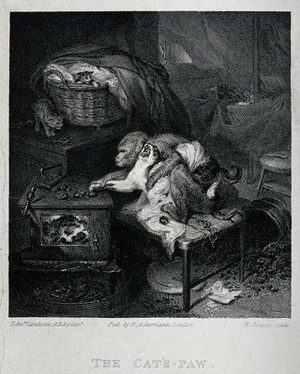 view A monkey forcing a cat to retrieve hot chestnuts, so burning its paws on the stove; two kittens in the background. Engraving by R. Graves after E. Landseer, ca. 1850.