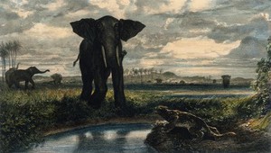 view An elephant and a leopard confront each other on opposite sides of a stream in an Indian desert. Coloured lithograph by E. Leroux after A.-G. Decamps, 1853.