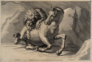 view A lion attacking a horse. Engraving by R. Collin, 1679, after J. von Sandrart.