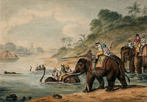 Tiger hunting in India: men riding elephants shoot at a tiger that tries to escape by swimming across a river. Watercolour, 18--.