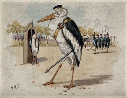 Storks dressed as guards. Watercolour by G. Hope Tait, ca. 1900.