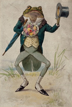 view A toad in morning dress, holding an umbrella and a bunch of flowers. Watercolour by G. Hope Tait, ca. 1900.