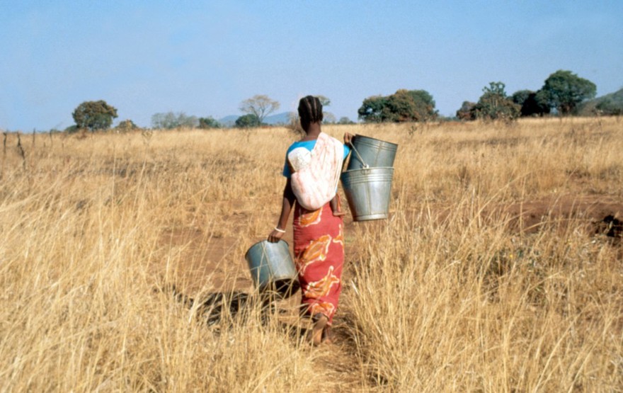 Woman with pails going to collect water in rural area, Zambia