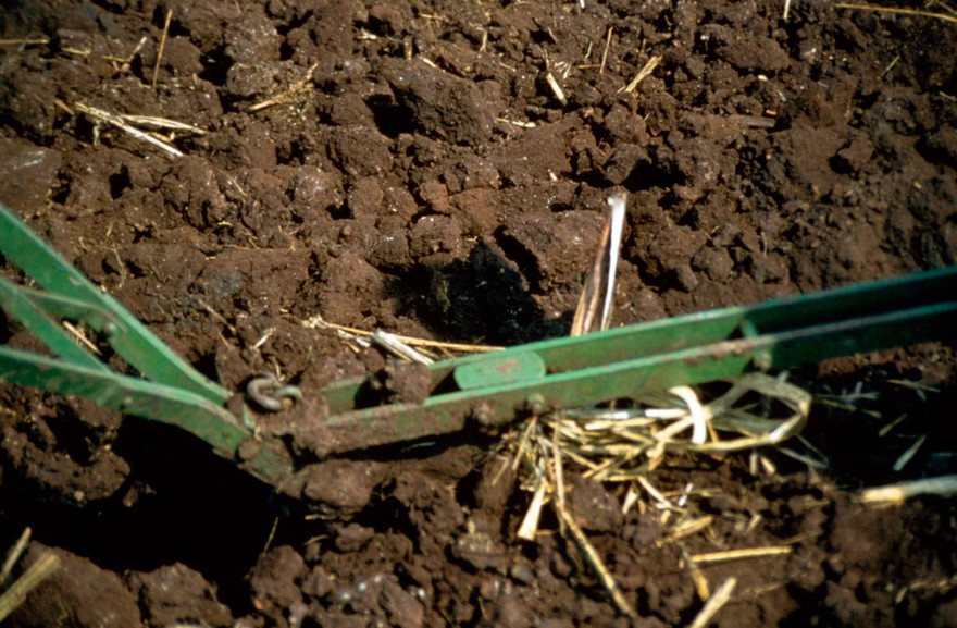 Agriculture: metal plough