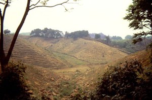 view Terraced fields in Bangladesh