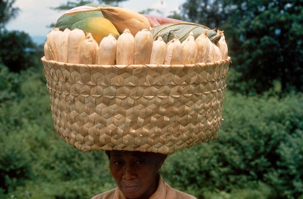 Woman carrying a basket of maize