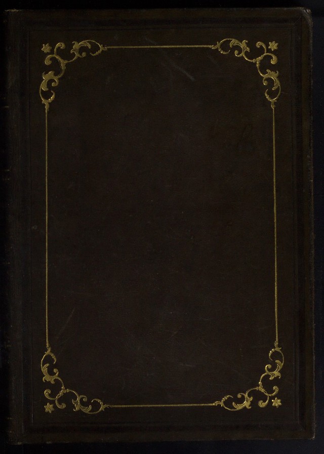 No text description is available for this image