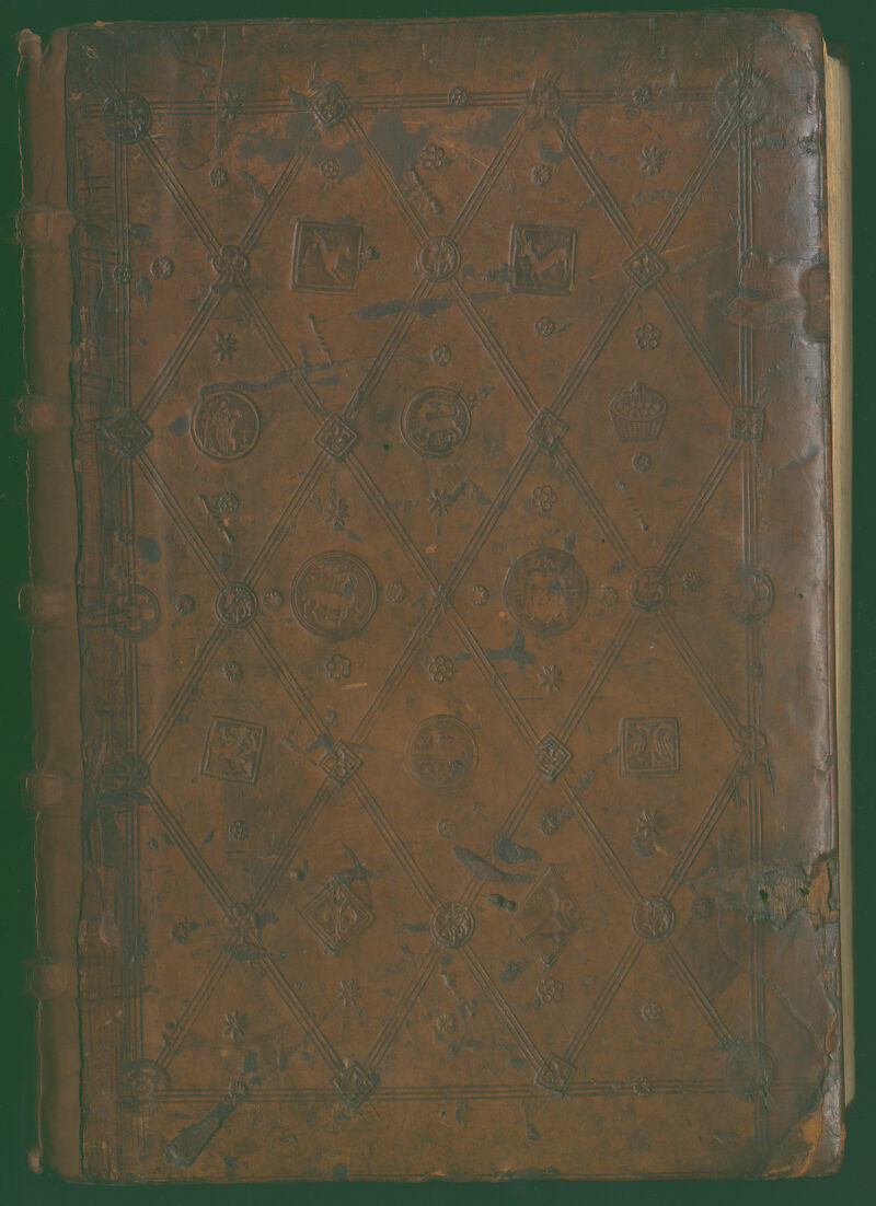 No text description is available for this image