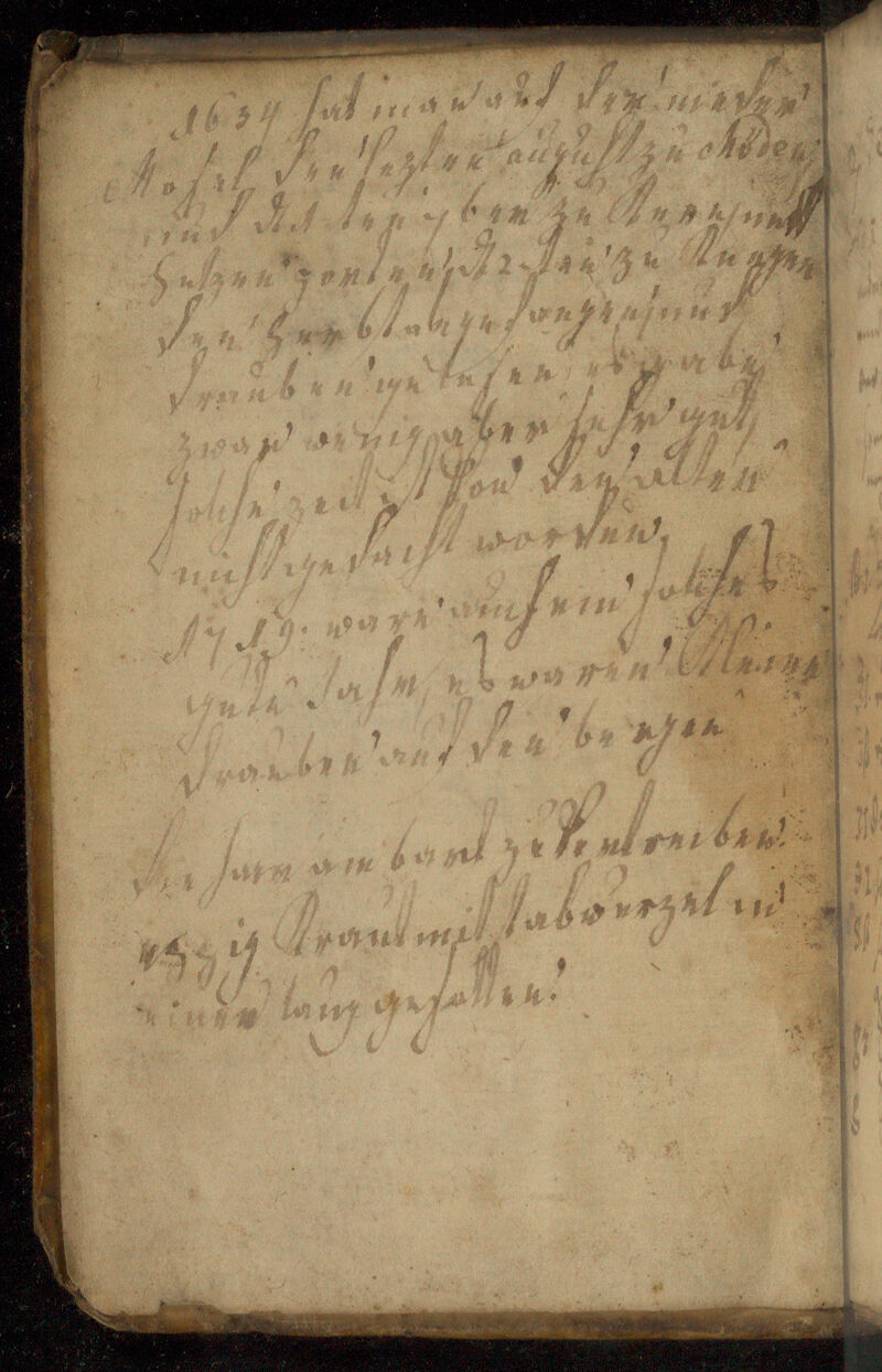 No text description is available for this image