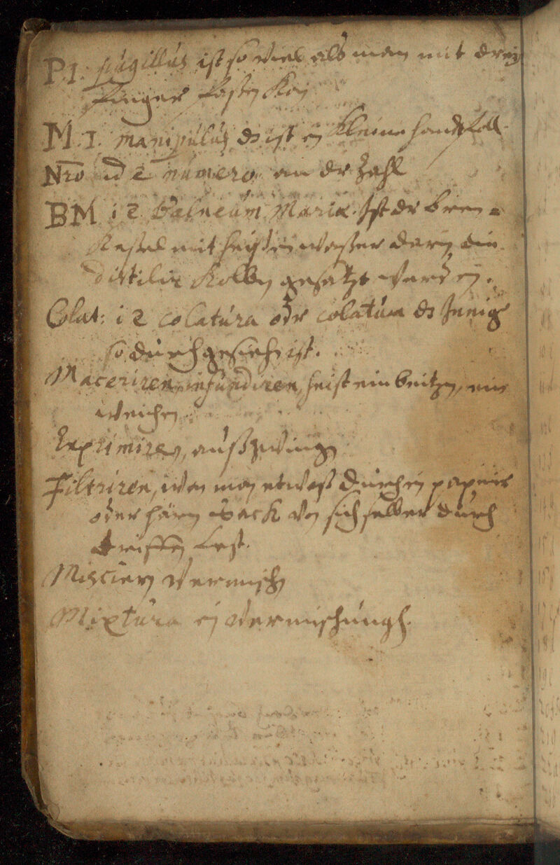 No text description is available for this image