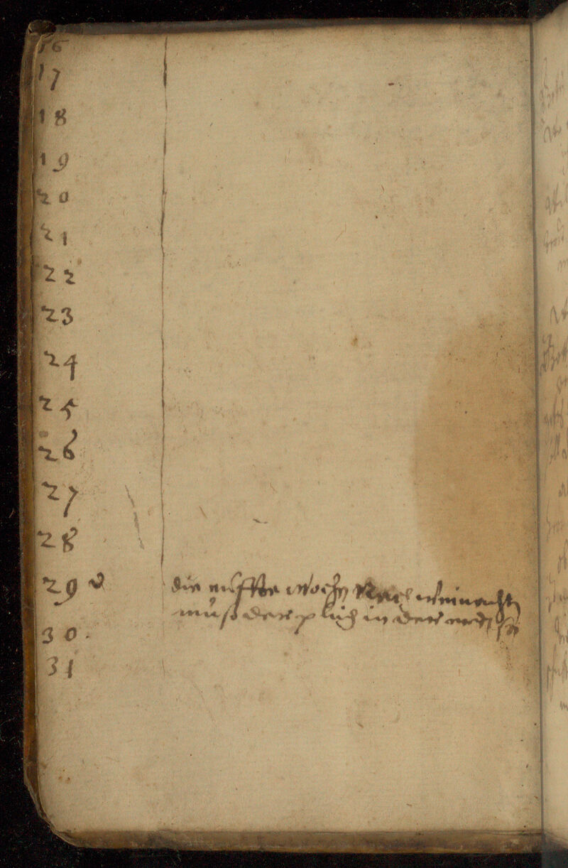 No text description is available for this image