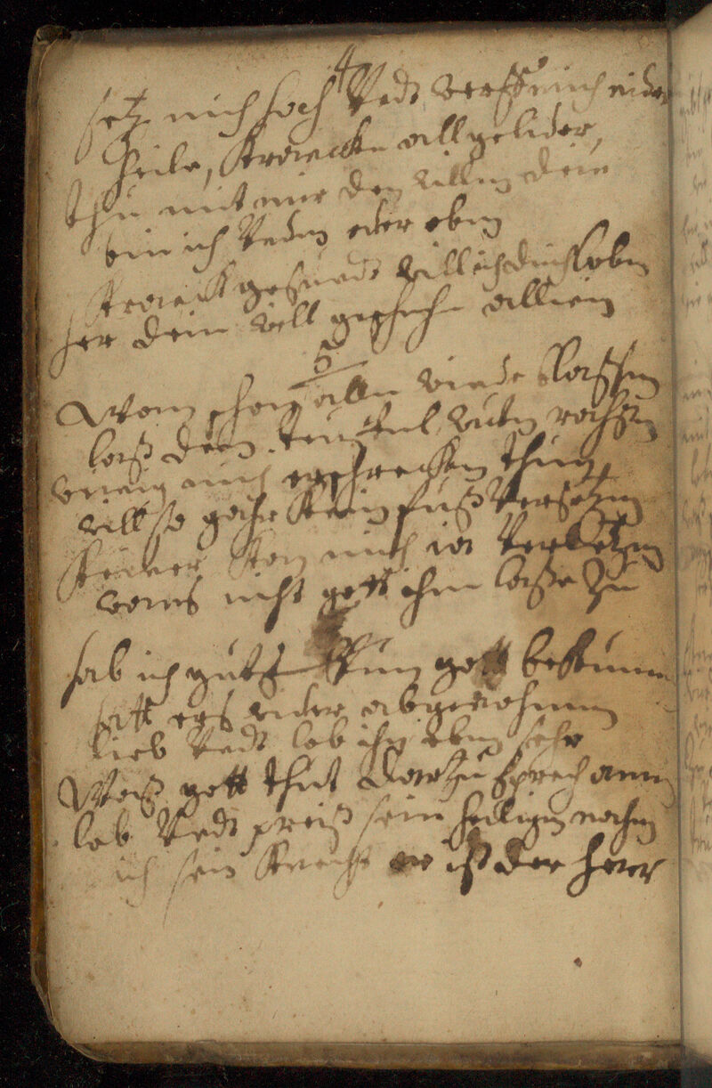 No text description is available for this image